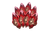 Primal Pack (8 pcs)