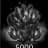 5.000 Shards