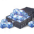 2080 Tanium