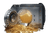 40.700 State Coins