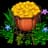 7.000.000 Coins