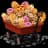 240.000 Treats