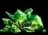 Warpstone Bundle 5.250